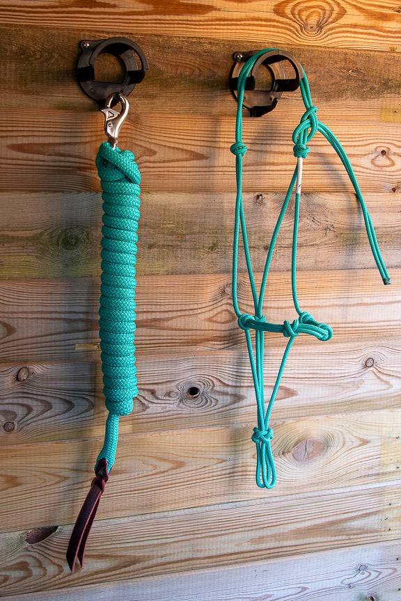 Foundation Trainingset: Premium 4-knoops stijf halster + lead