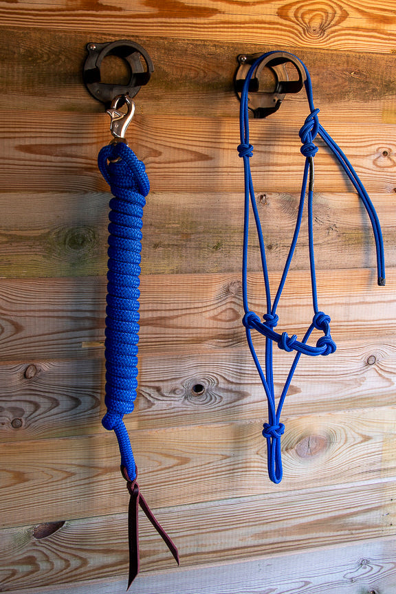 Foundation Trainingset: Premium 4-knoops stijf halster + lead