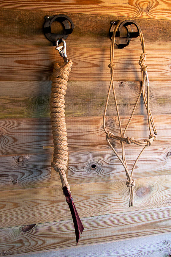 Foundation Trainingset: Premium 4-knoops stijf halster + lead