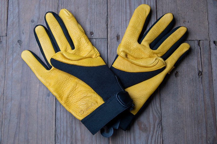 Majestic Golden Eagle-handschoenen