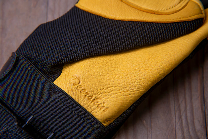 Majestic Golden Eagle-handschoenen