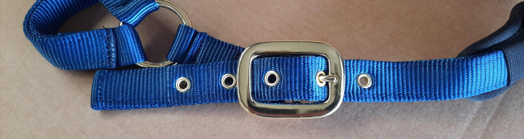 Dubbellaags Halster met Neopreen – Full